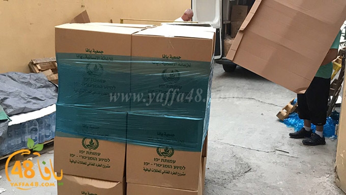 torold yaffa (4).jpg